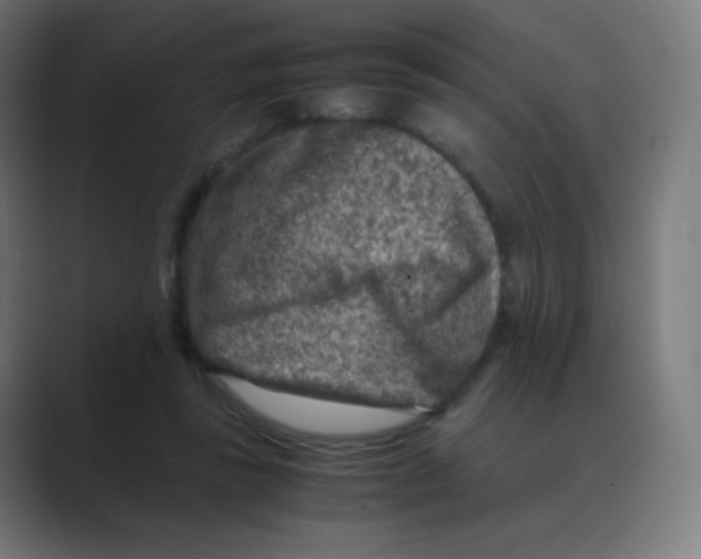 X0000088460355200706191333