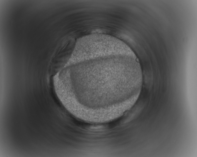 X0000088460357200706191333