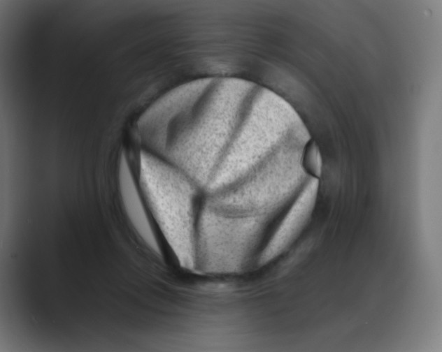 X0000088460358200706191333