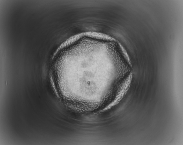 X0000088460359200706191333
