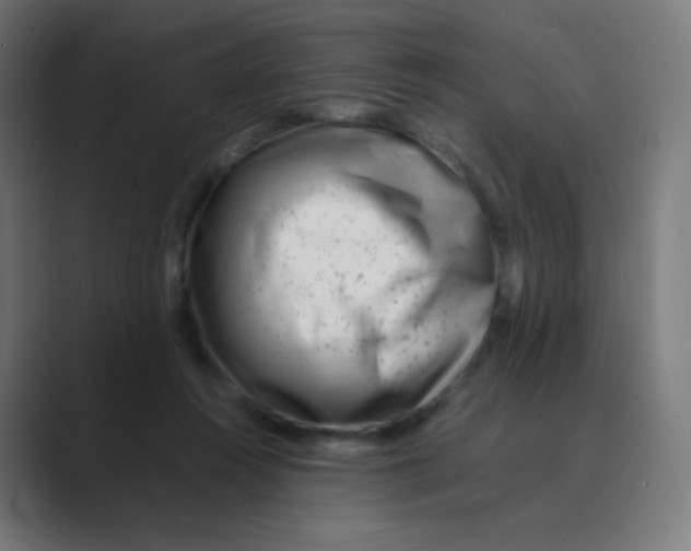 X0000088460360200706191333