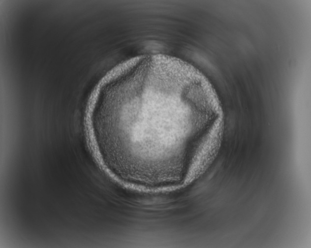 X0000088460361200706191333
