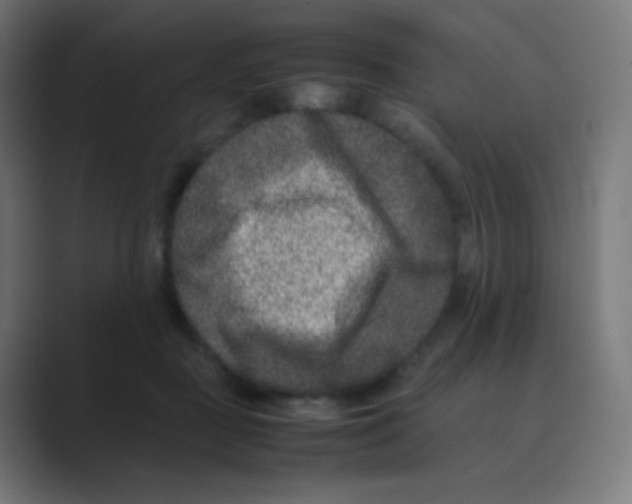 X0000088460363200706191333