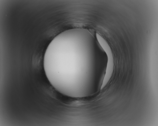 X0000088460364200706191333