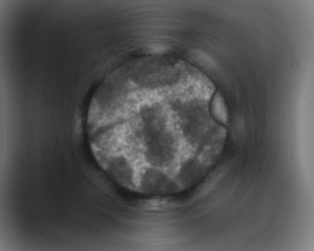 X0000088460366200706191333