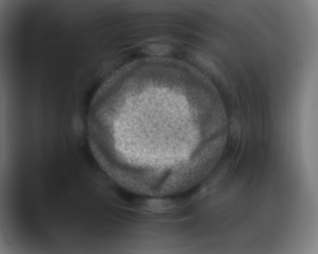 X0000088460371200706191333
