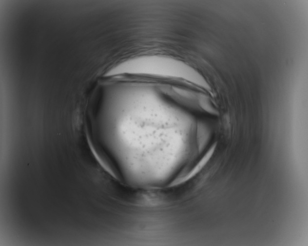 X0000088460372200706191333