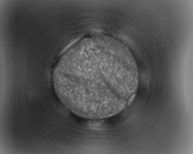 X0000088460373200706191333
