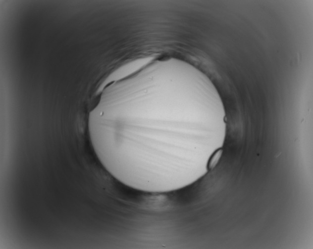 X0000088460374200706191333
