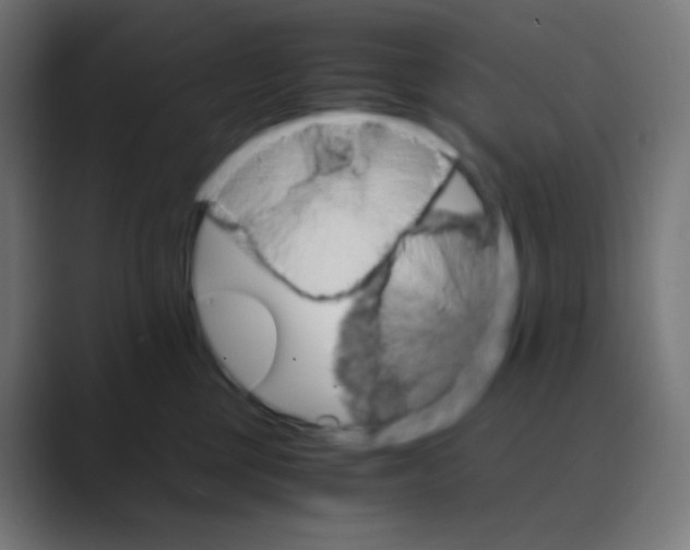 X0000088460377200706191333