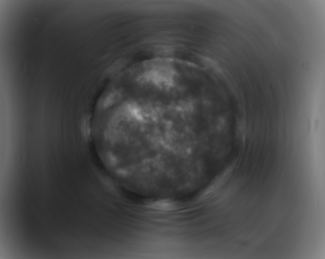 X0000088460383200706191334