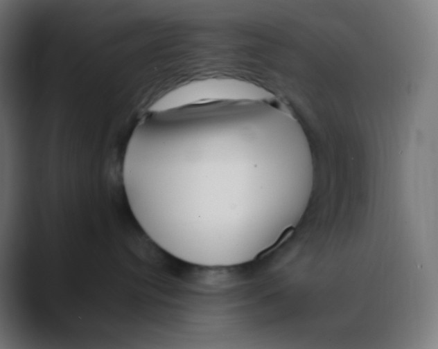 X0000088460384200706191334