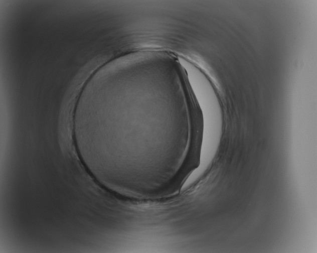 X0000088460385200706191333