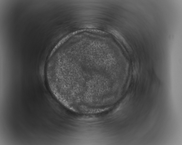 X0000088460386200706191333