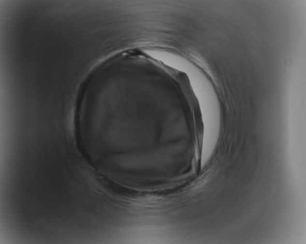 X0000088460387200706191333