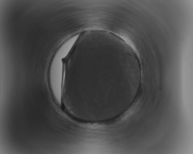 X0000088460389200706191333