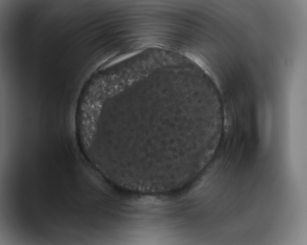 X0000088460390200706191333