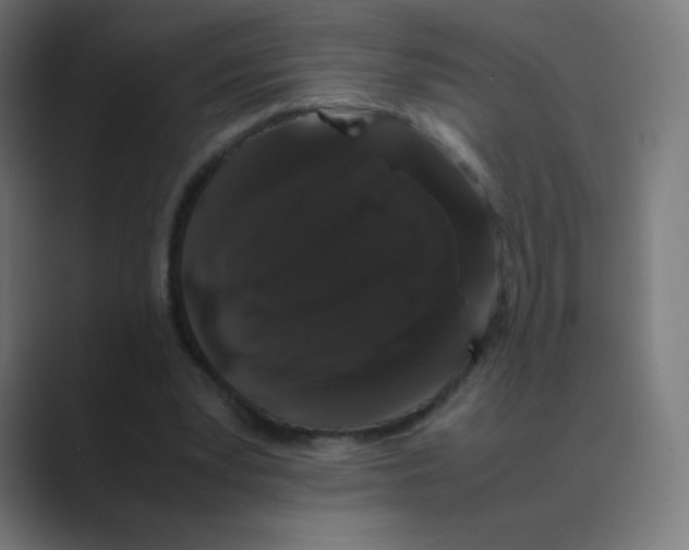 X0000088460391200706191333