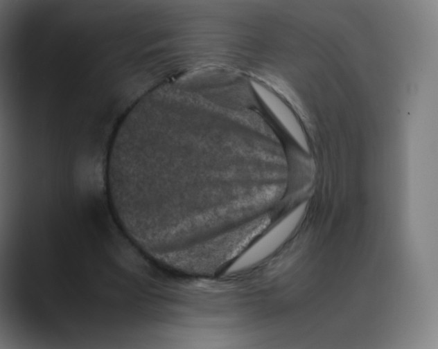 X0000088460393200706191333