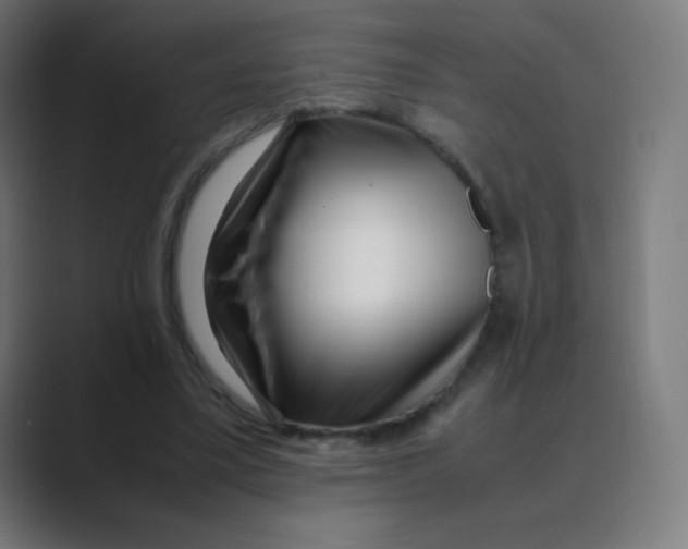 X0000088460395200706191333