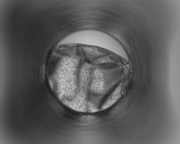X0000088460397200706191333