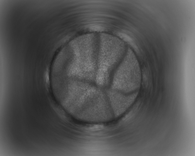 X0000088460398200706191333