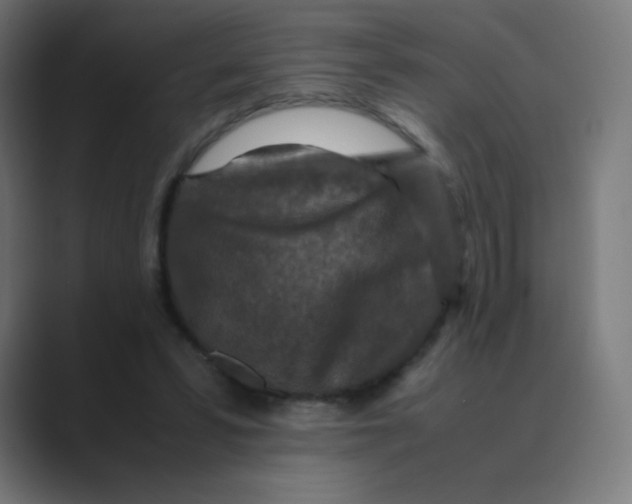 X0000088460399200706191333