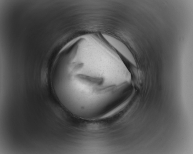 X0000088460400200706191333