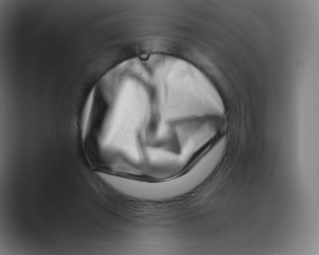 X0000088460401200706191333
