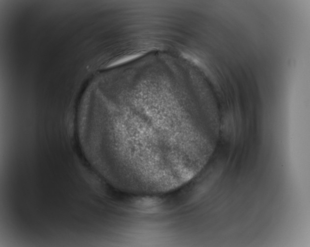 X0000088460402200706191333