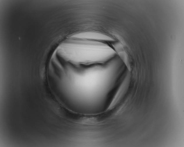 X0000088460403200706191333