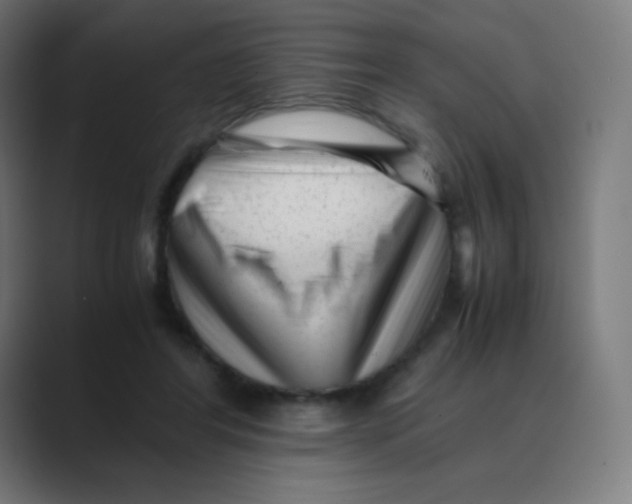 X0000088460404200706191333
