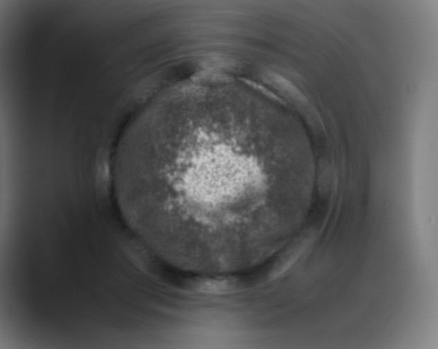 X0000088460405200706191333