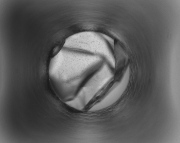 X0000088460407200706191333