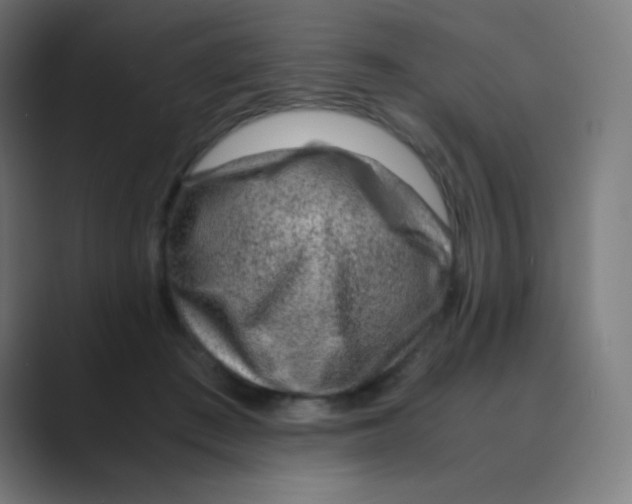 X0000088460409200706191333