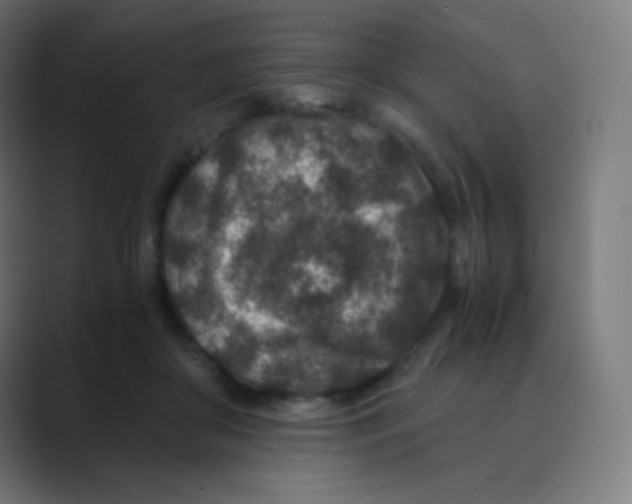 X0000088460410200706191333