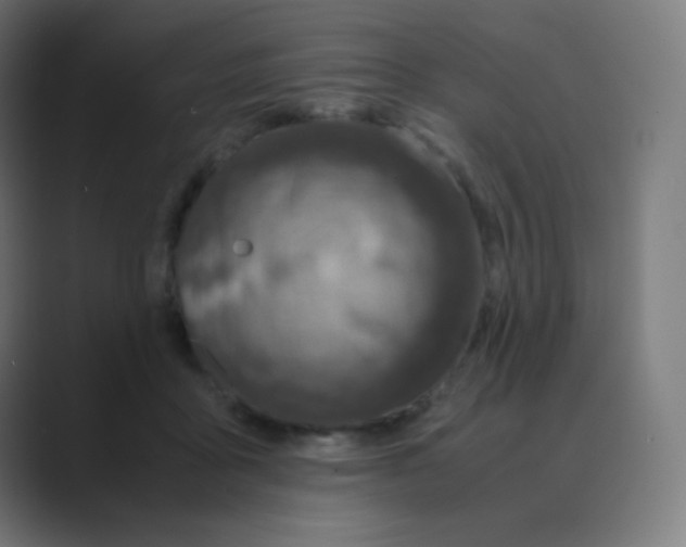 X0000088460411200706191333