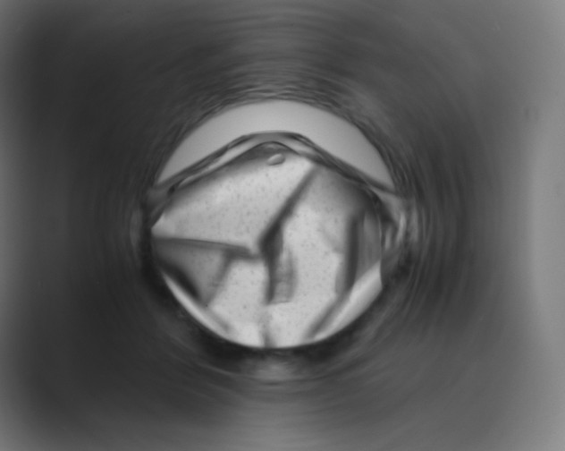 X0000088460412200706191333
