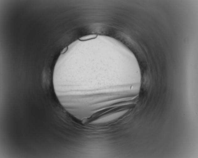 X0000088460413200706191333