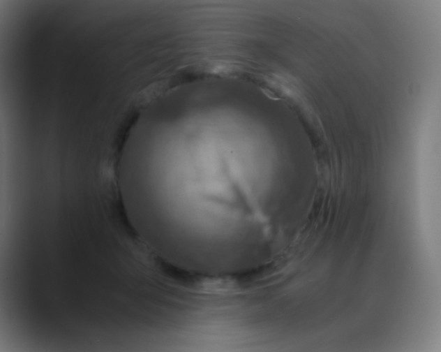 X0000088460415200706191333