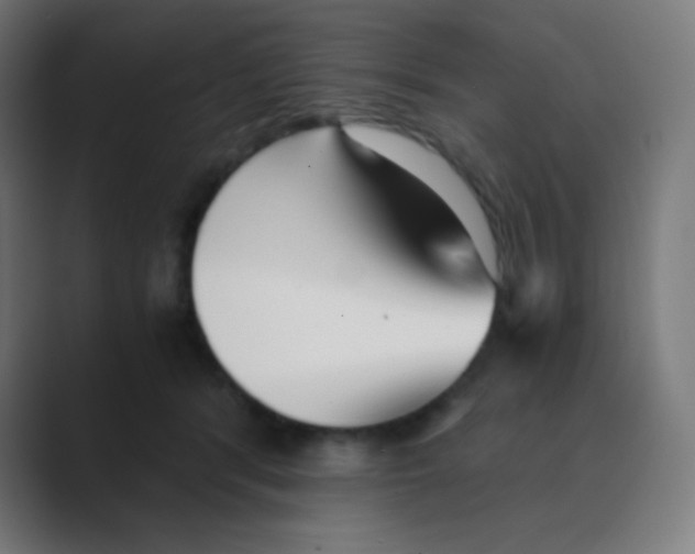 X0000088460416200706191333