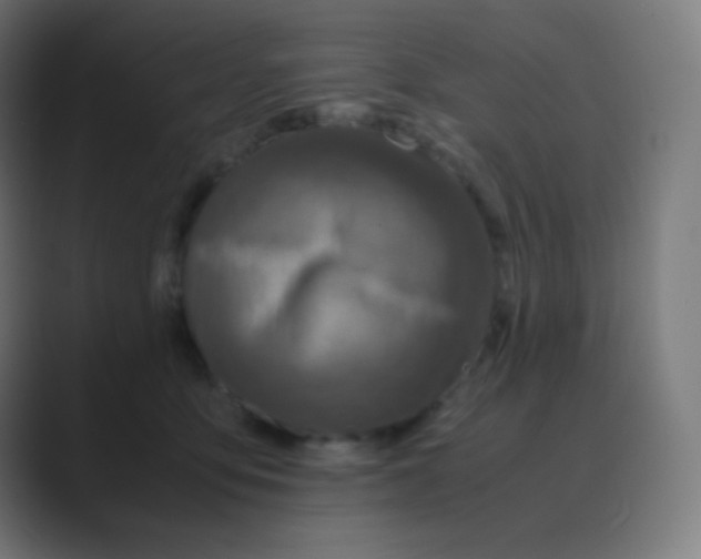 X0000088460419200706191333