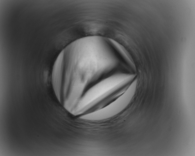X0000088460420200706191333