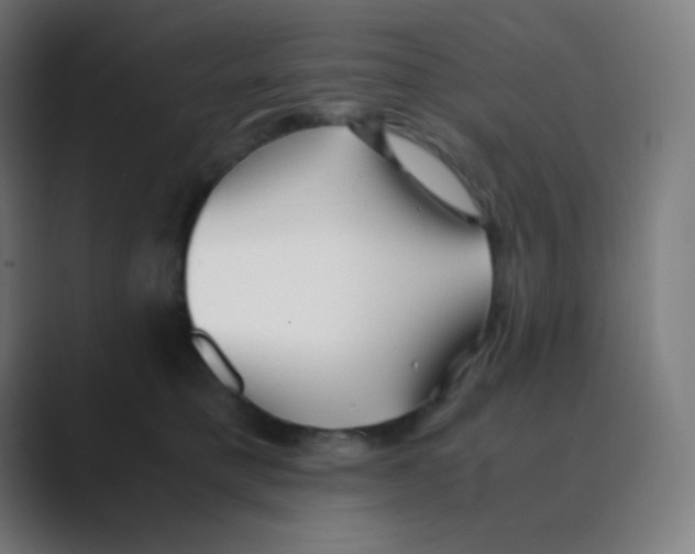 X0000088460421200706191333