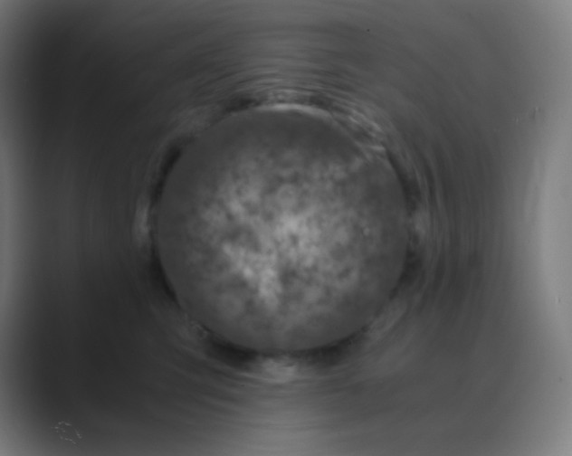 X0000088460423200706191333