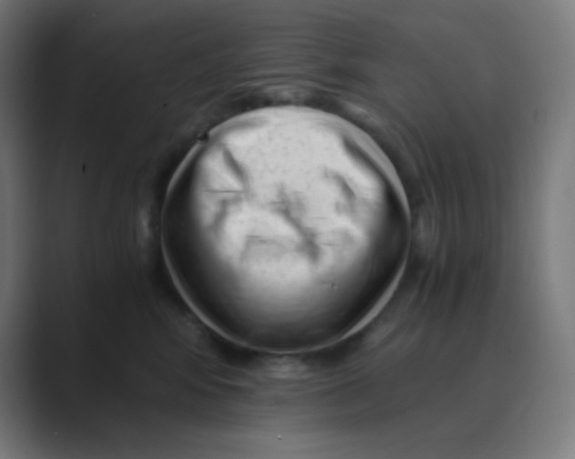 X0000088460424200706191333