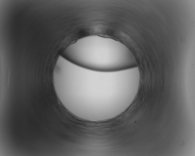 X0000088460425200706191333