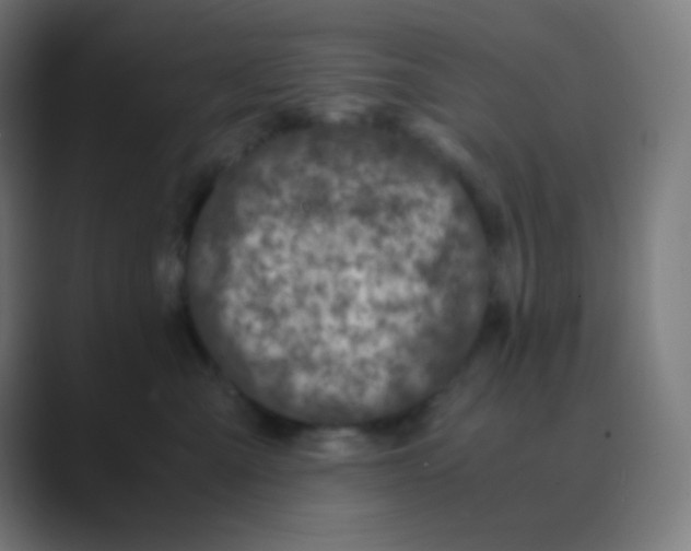 X0000088460427200706191332