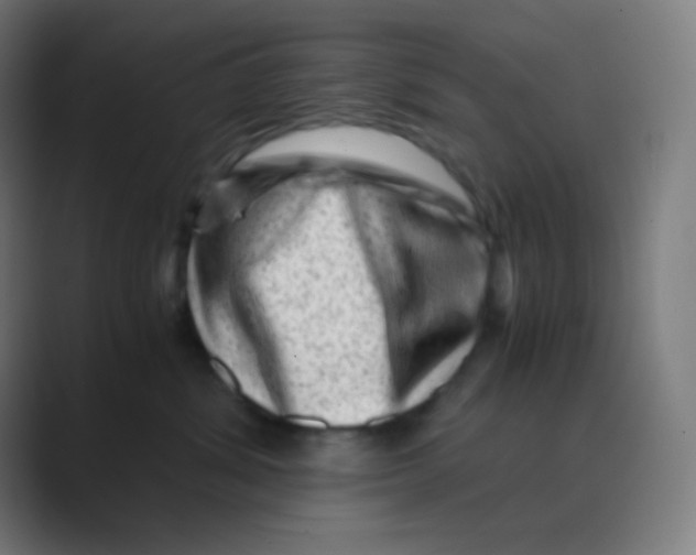 X0000088460428200706191332