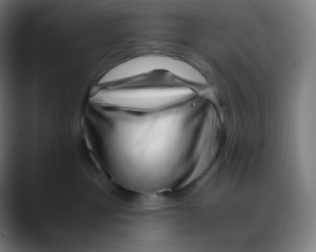 X0000088460429200706191332